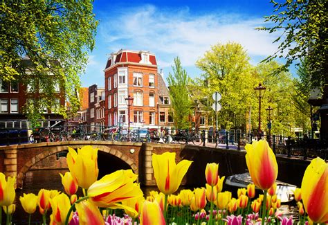 the netherlands drops its ‘holland nickname officially times of india travel