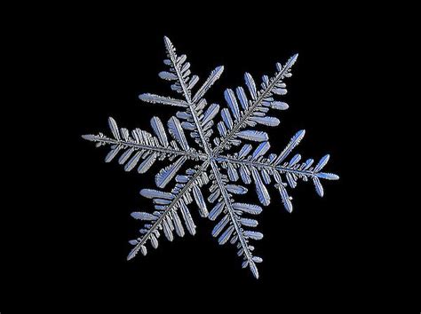 Real Snowflake 2018 12 181 By Alexey Kljatov Snowflakes Real Macro