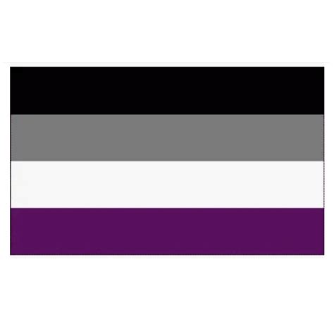 asexual ace pride flag 3x5 with grommets or wear as lgbt cape etsy