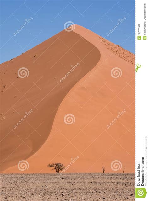 Namibian Desert Landscape Stock Image Image Of Landscape 107535597
