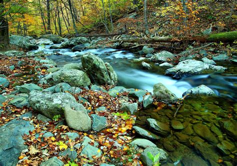 Autumn Flowing Forest River Creeks And Streams Free Nature Pictures By