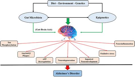 Impact Of Gut Microbiota And Epigenetics In The Pathogenesis Of