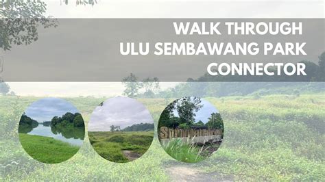 Walk Through Ulu Sembawang Park Connector Sgtrek