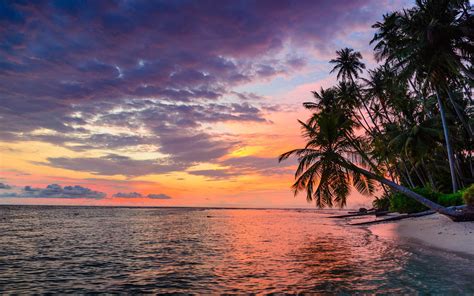 tropical beach sunset 4k wallpaperhd nature wallpapers4k wallpapers images and photos finder
