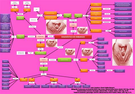Resultado De Imagen Para Mapa Conceptual De Embarazo Map Fan Art Map