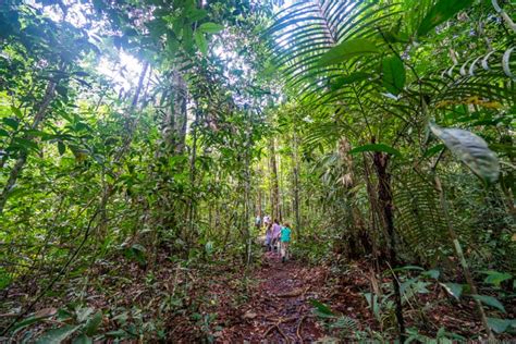The Amazon Rainforest With Kids A Magical Unplugged Expedition
