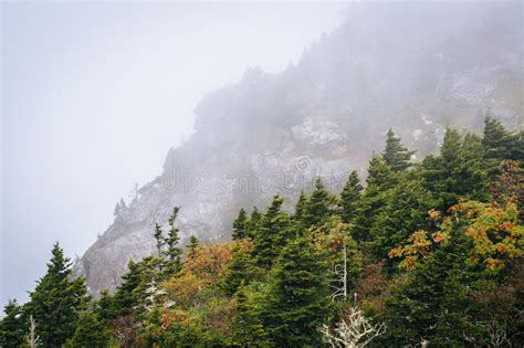 Trees And Rocky Slopes In Fog At Grandfather Mountain North Ca Stock