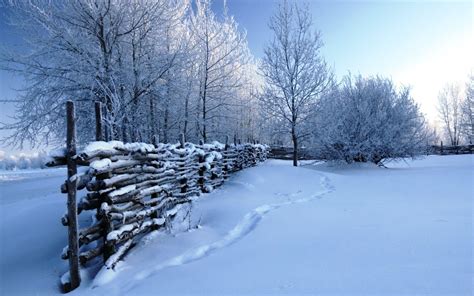Winter Scenes Wallpaper ·① Wallpapertag