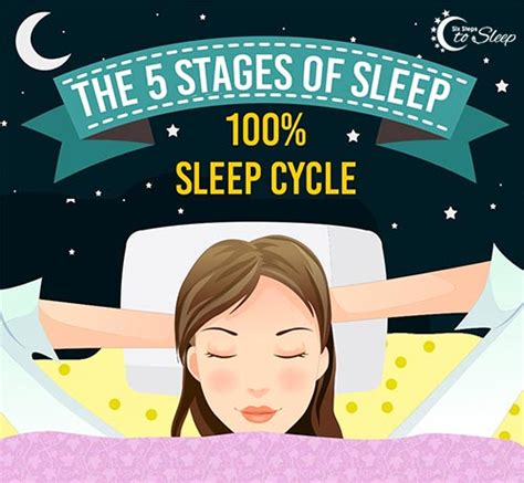 understanding the sleep cycle and stages of sleep infographic