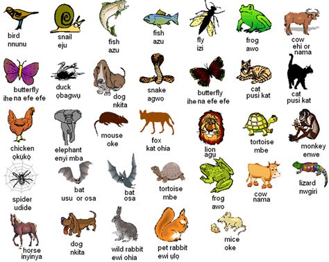 Igbo Names For Animals Animals Name In English Learn English