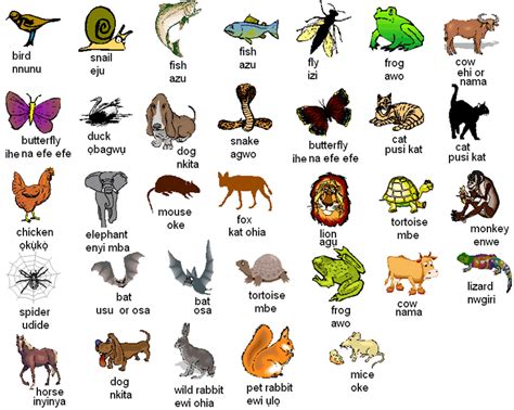 Igbo names are considered one of the sweetest and interesting names within the landscape of nigeria, as many variables influence the naming of a child in igbo culture. Igbo names for animals | Learn english, English vocabulary ...