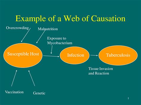 Web Of Causation Example Of A Web Of Causation Community Nursing