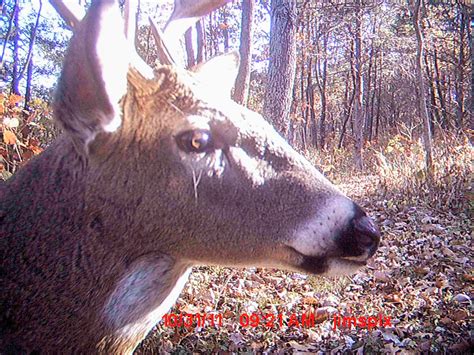 Cwd Testing More Important Now Than Ever Share The Outdoors