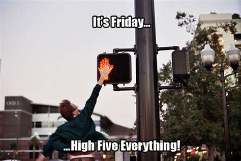 Its Friday High Five Everything 16 Pics