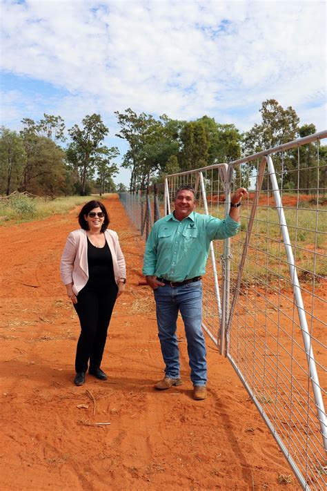 They include liquid and granular repellents, visual deterrents, exclusion fencing, barrier spikes, vent guards, wire mesh, netting, live traps and acoustic dispersal devices. Wild Dog Exclusion Fencing - Balonne Shire Council