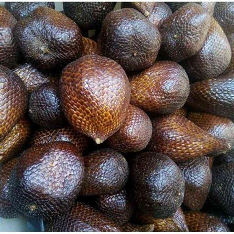 Jual Buah SalaK Pondoh 1 Kg Salak Segar Di Seller SAJIRA FARM