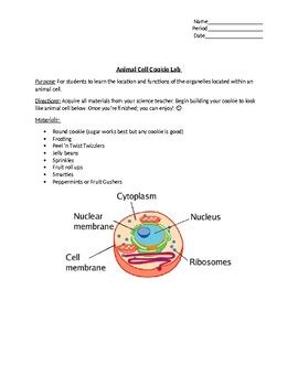 Maybe you would like to learn more about one of these? Animal Cell Cookie Lab by The Robizzle Way | Teachers Pay ...