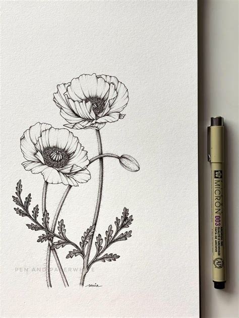 Pencil Drawings Of Flowers Pencil Art Drawings Doodle Drawings Ink