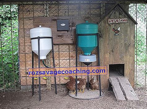 Automatic Chicken Feeder Do It Yourself Auto Feeder With Timer