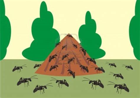 Ants Nest Clipart Clipground Hot Sex Picture