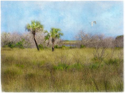 Wallpaper Landscape Painting Sky Field Wildlife Island Nature
