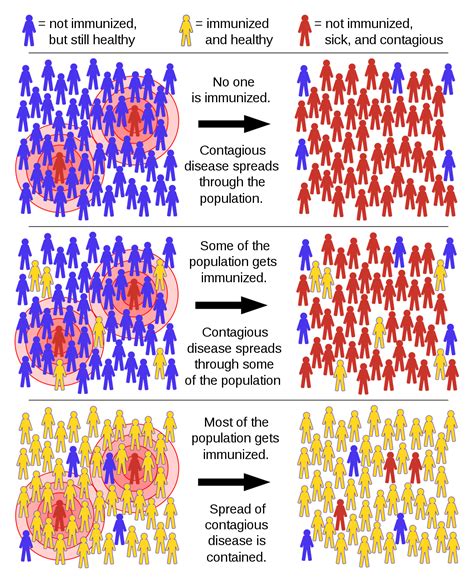 Herd immunity in the age of vaccines. Herd immunity - Wikipedia