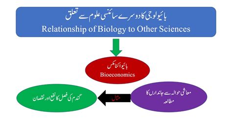 Relationship Of Biology With Other Sciences9th Class Youtube