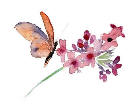 Butterfly On Flower Watercolor Butterfly Mania