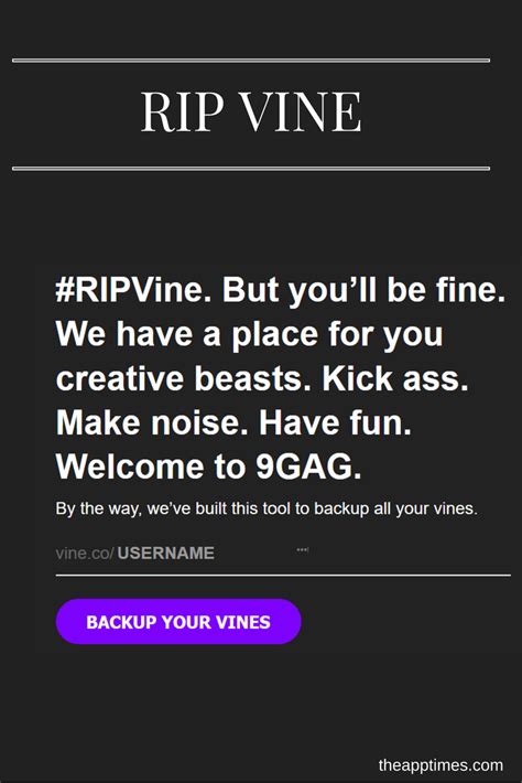 Download Your Favorite Vines As Mp4 Files With Rip Vine Ripped Vines
