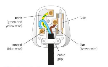 Blue banner with text gcse bitesize on left and animal. Plug Diagram Gcse : Gcse Physics Electrical Safety Plugs Earth Wires Fuses Teaching Resources ...