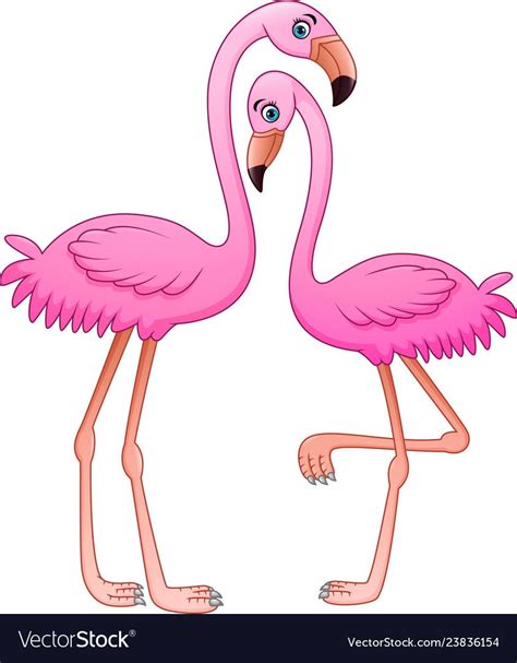 Cartoon Two Pink Flamingo On White Background Vector Image On Фламінго