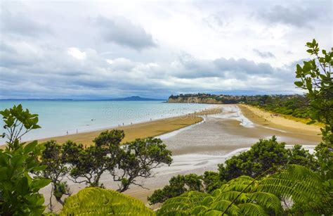 Long Bay Beach Auckland New Zealand Regional Park Stock Photo Image