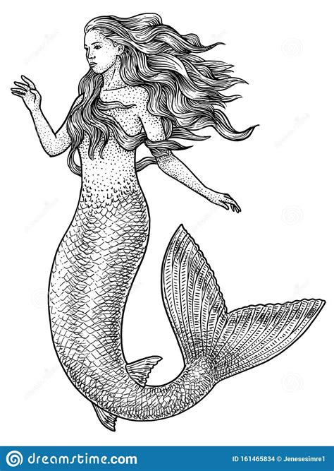 Mermaid Illustration Drawing Engraving Ink Line Art Vector Stock Vector Illustration Of