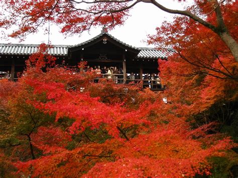 28 Japan Autumn Hd Wallpaper Basty Wallpaper