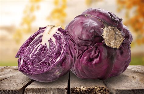 There's a community for whatever you're interested in on reddit. The secrets of red cabbage revealed! - FreshMAGAZINE