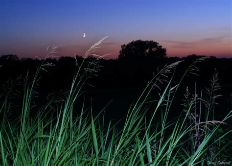 Twan Tall Grass Prairie Moon