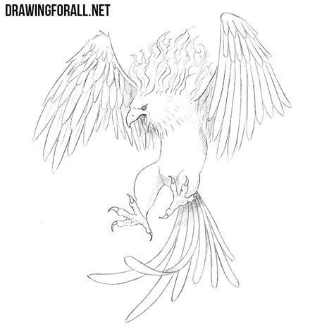 Drawing For All — How To Draw A Phoenix