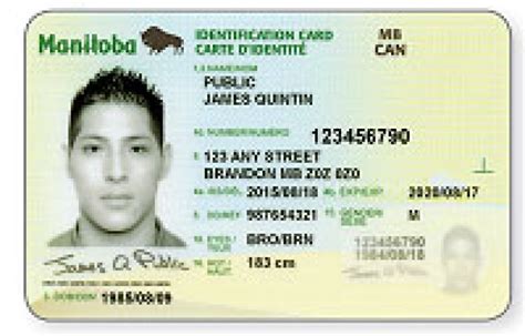 Feedback Sought On Proposed All In One Id Card For Manitobans Cbc News