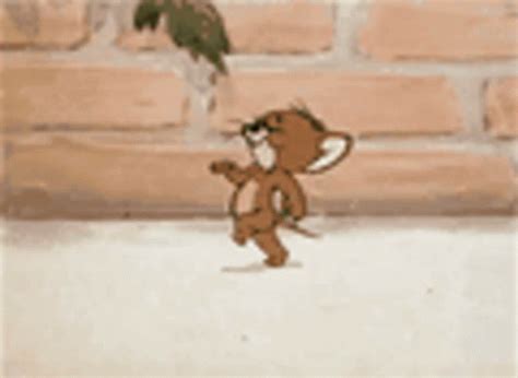 Jerry The Mouse Tom And Jerry Gif Jerry The Mouse Tom And Jerry