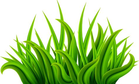 Pasto Dibujo Animado Dibujo Hierba Png Grass Pasto Vector Png 885x252