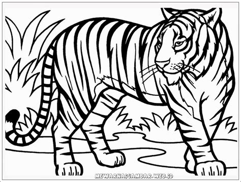 Maybe you would like to learn more about one of these? Mewarnai Gambar Harimau | Mewarnai Gambar