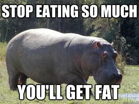 Hippo Memes