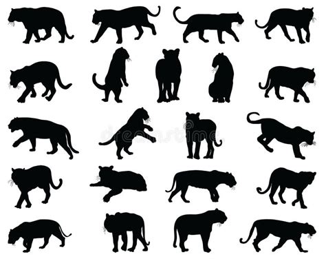Black Silhouettes Of Tigers Stock Illustration Illustration Of Wild
