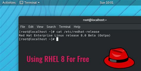 How To Download And Install Rhel8 For Free Red Hat Enterprise Linux