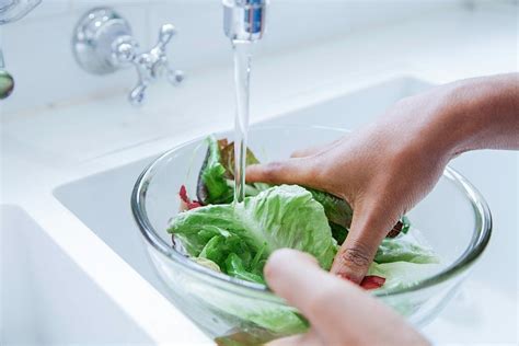 Como higienizar alimentos Como evitar riscos de contaminação