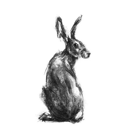 Prudence Hare Sketch Print Charcoal Drawing Of A Hare Paintmydog