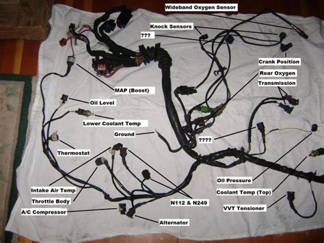 Gen 3 5.3 Stand Alone Harness