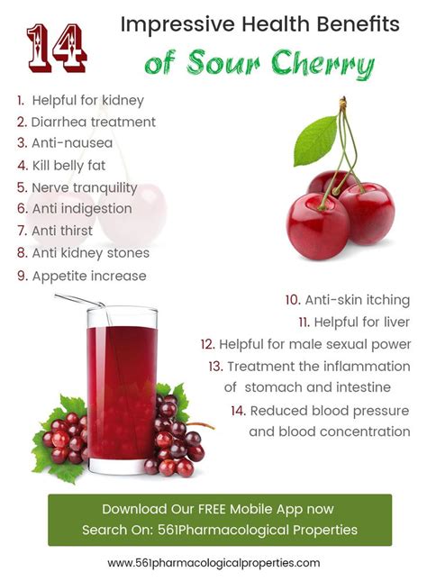 14 Amazing Health Benefits Of Sour Cherry Cherry Benefits Cherry