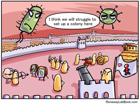 Hooray for Commensal Bacteria! Biology Humor Comic