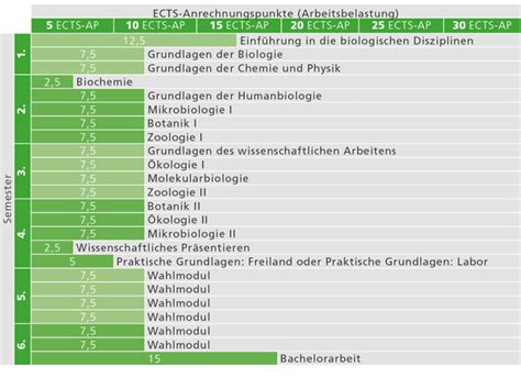 Deckblatt bachelorarbeit aalen klicken sie hier pdf kostenfreier download. Bachelorstudium Biologie 19w - Universität Innsbruck